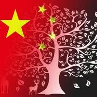 用户3609482544757头像