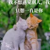 李小伟395头像