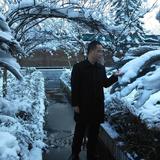 雪山飞狐61581头像