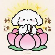 Amireux15的个人资料头像