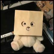 早睡早起361的个人资料头像