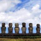 cyqxx的个人资料头像