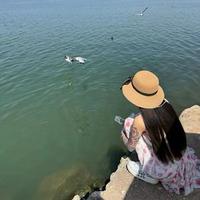 清新远山GwC头像