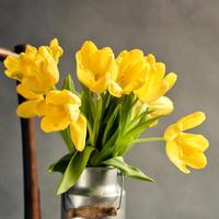 心随风动风不动头像