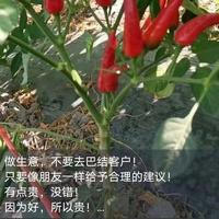 热心菠萝7V4头像