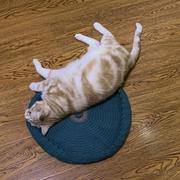 云计算大模型权威榜单的个人资料头像