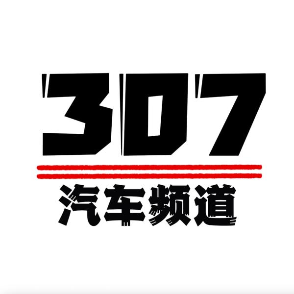 307汽车频道头像