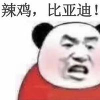 足智多谋雪梨Tcf头像