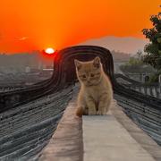 tmisanotherday的个人资料头像