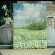 daisy56的个人资料头像