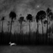 麦田与海浪的个人资料头像