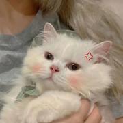 ik201的个人资料头像