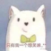 ditto的个人资料头像