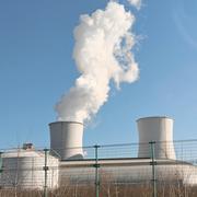 莹莹ya的个人资料头像