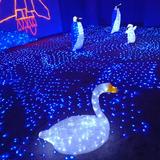 边关人307头像