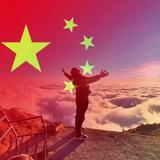 AS美酒与佳人头像