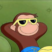 Amor862的个人资料头像