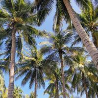 用户236243513111头像