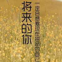 那是以前539头像