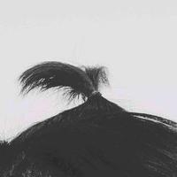 上海滩麦克老师头像