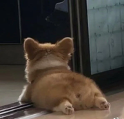 用户919479396227的个人资料头像