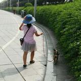 燕行无双头像