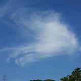 ㈩CYANyy大宇头像