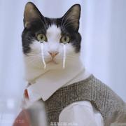 晓枫360的个人资料头像