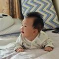 飞飞flydb头像