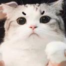 阿磊就是我的个人资料头像