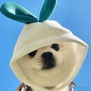 LeoTian_兮川的个人资料头像