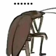 牛爷爷爱吃小鸡炖巧克力再放点醋和耗油的个人资料头像