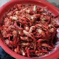 XRV和轩逸悦享版头像