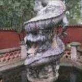 LD青头像