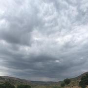 warriorg的个人资料头像