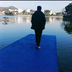 诗晗韵水墨头像