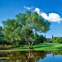 骑上蜗牛闯红灯头像