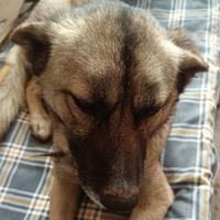 笑看风云67948头像