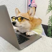 小鱼383的个人资料头像