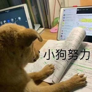 数学小明同学头像