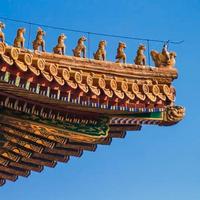 三胖说历史头像