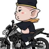 大白去哪玩啊头像