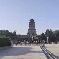 好学的白闹头像