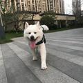 用户107335763699头像