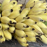 一碗八宝菜头像