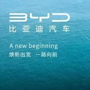 曲靖谊和比亚迪头像