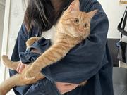 XyM的个人资料头像