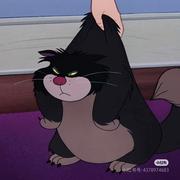 不骂人的个人资料头像