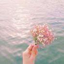 李黎的个人资料头像