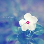 用户33810162295的个人资料头像